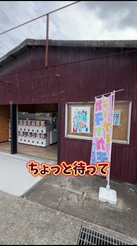 【ゲーセン】無人のゲームセンターでラブブの確率無視狙ってみた💸