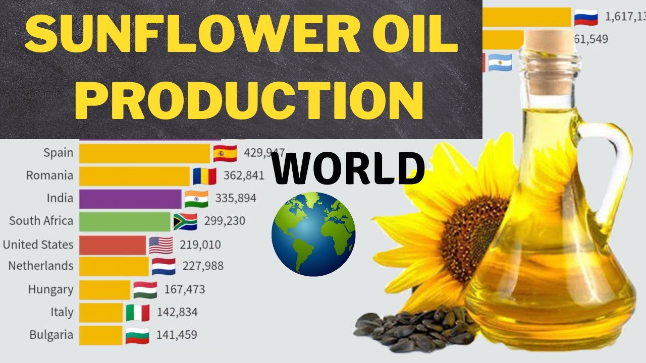 SUNFLOWER OIL Production In The World By Country 19612019 YouTube