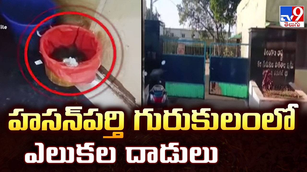 TGRJC Hasanpeta Incident : హనుమకొండ జిల్లా హసన్‌పర్తి TGRJCలో ఎలుకల స్వైరవిహారం - TV9