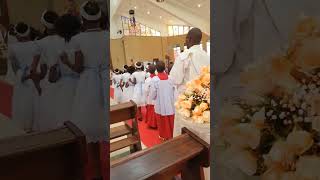 Catholic Church Entrance Dance #wedding #bridesmaids #catholic #kanisakatoliki #katoliki
