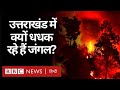 Uttarakhand Fire: उत्तराखंड में क्यों धधक रहे हैं जंगल? सारे सवालों के जवाब जानिए (BBC Hindi)