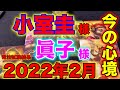 小室圭さん2022年2月司法試験の結果と今の運勢、眞子さまの今の心境や今後の運勢を占う【動画の最後に3択占い有ります】