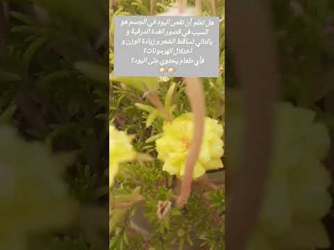 مصادر اليود الطبيعية اكسبلور ترند جمال وصفات دايت صحة دهون طبخ جسم نصائح