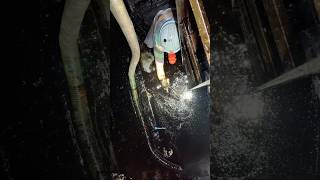 Why Do Cargo Ships Use Heavy Fuel Oil?