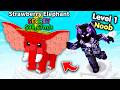 Starting Over as NOOB with OP SECRET in Fly With Brainrot! (Roblox)