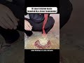 #lifeadvice #lifehacks #lifetips #youtube