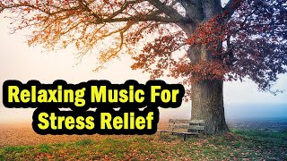 Relaxing Music For Stress Relief, Anxiety and Depressive States - Heal Mind, Body and Soul