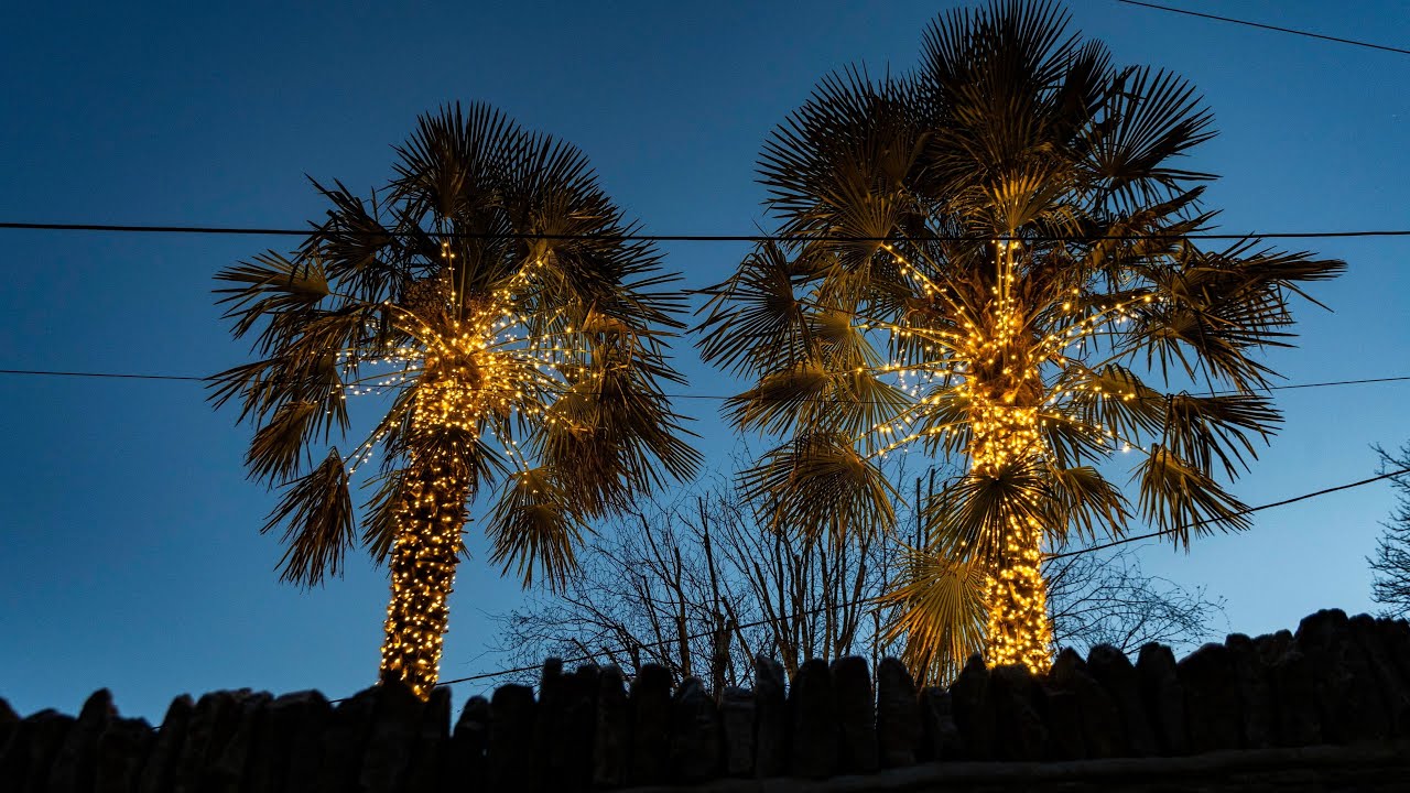 Awesome dragon made from tires and Amazon head, image size:1280x720