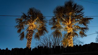 “This is not Dubai!” Locals in UKs prettiest street revolt over tree lights | SWNS