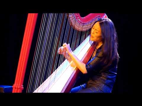 Lavinia Meijer - Metamorphosis II (Philip Glass) (live @ Zwarte Cross 2023, 22.07.2023) 2/2