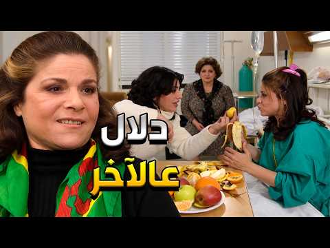 أضحك مع جميل وهناء الكل عم يدلل أم محمود بعدما فازت الجائزة الكبرى