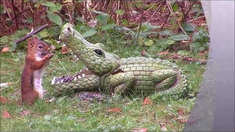 Audio Visual Catnip, September 2018