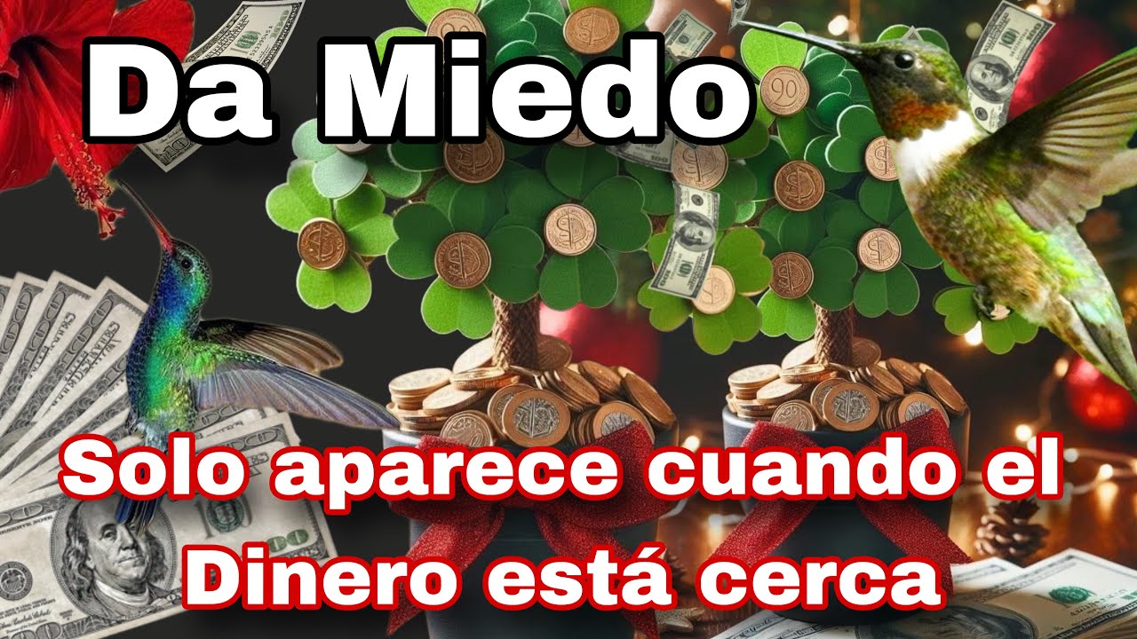 Te llegara dinero de todas partes ACTIVA El colibrí de la Abundancia ...