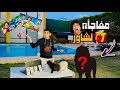 ردة فعلي علي الي عملة شاور وجهزت احلي مفاجاة لية القيصر ردة فعلي علي الي عملة شاور وجهزت احلي مفاجاة لية القيصر