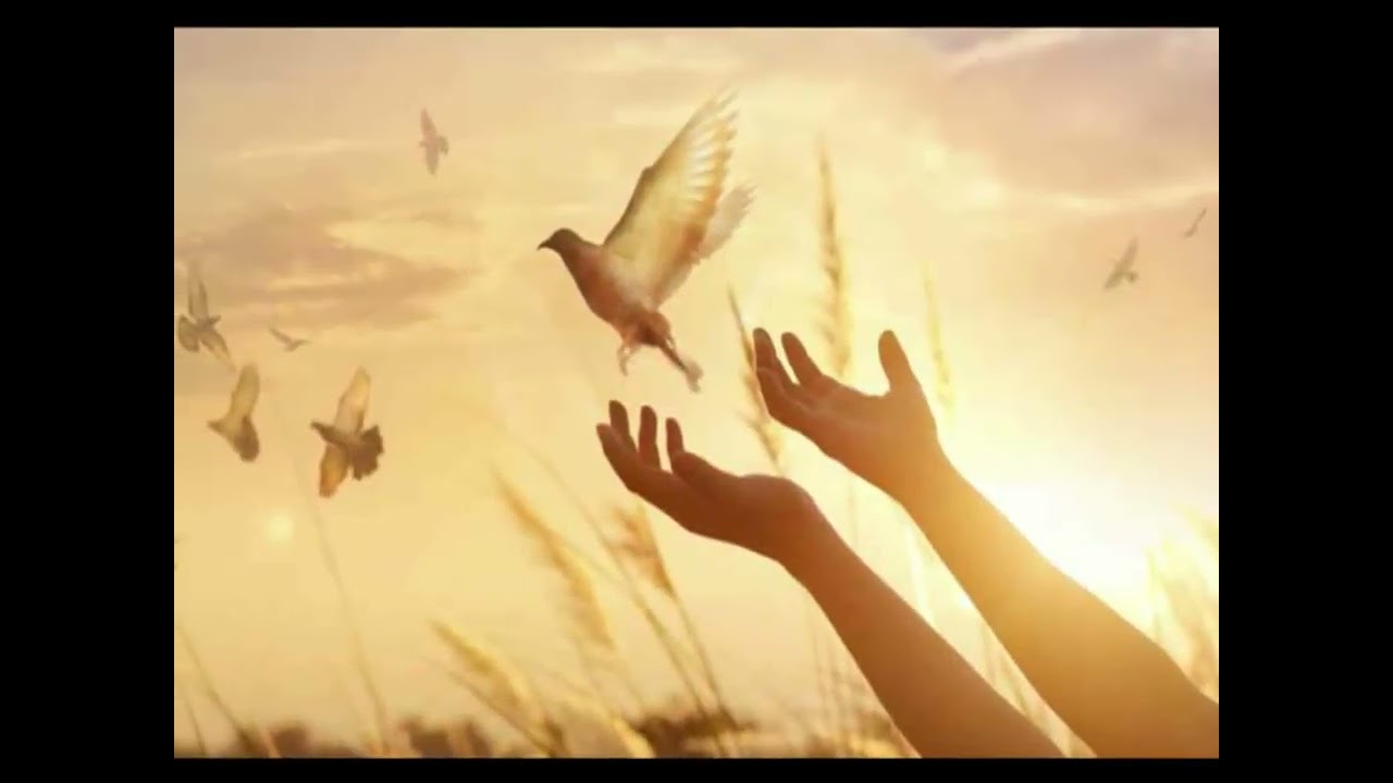 ΑΞΙΕΣ ΓΙΑ ΤΟΝ ΝΕΟ ΤΟΥ ΣΗΜΕΡΑ ΜΕ ΔΑΣΚΑΛΟΥΣ ΤΟΥΣ ΤΡΕΙΣ ΙΕΡΑΡΧΕΣ