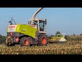 Chopping corn with Claas Jaguar 870 / Poppink Reutum / 2021