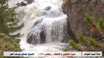 سورة التكوير وسورة الانفطار ( رمضان 2024 )  الشيخ مشعل يوسف المطر