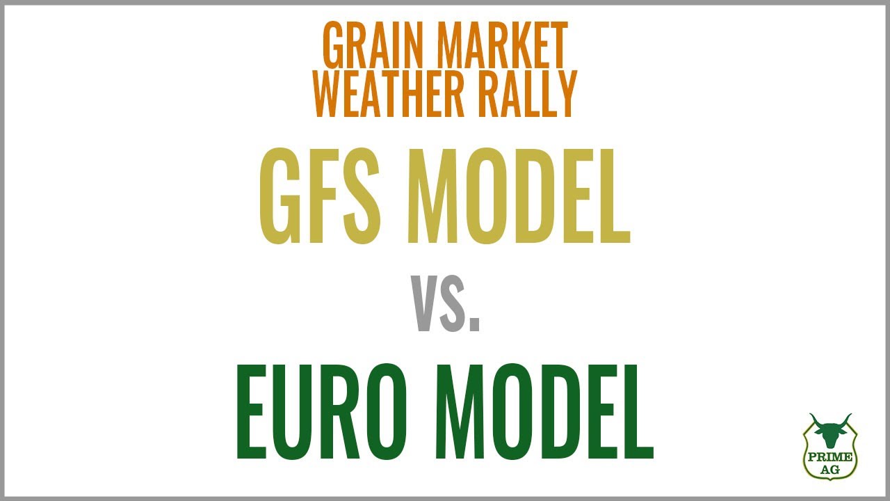 EURO vs GFS Model | weather RALLY - YouTube