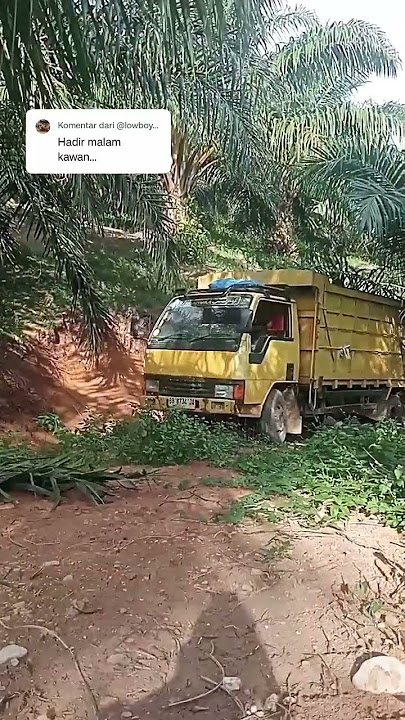 karna cuaca cerah kita main coltdiesel #trukoleng #automobile #storywa #shortvideo #trendingshorts