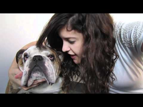 WALLACE!!!! | catrific