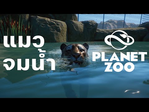 ASMR | สร้างสวนสัตว์ | PLANET ZOO #2025