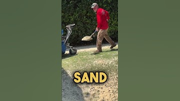 Best sand for leveling your lawn