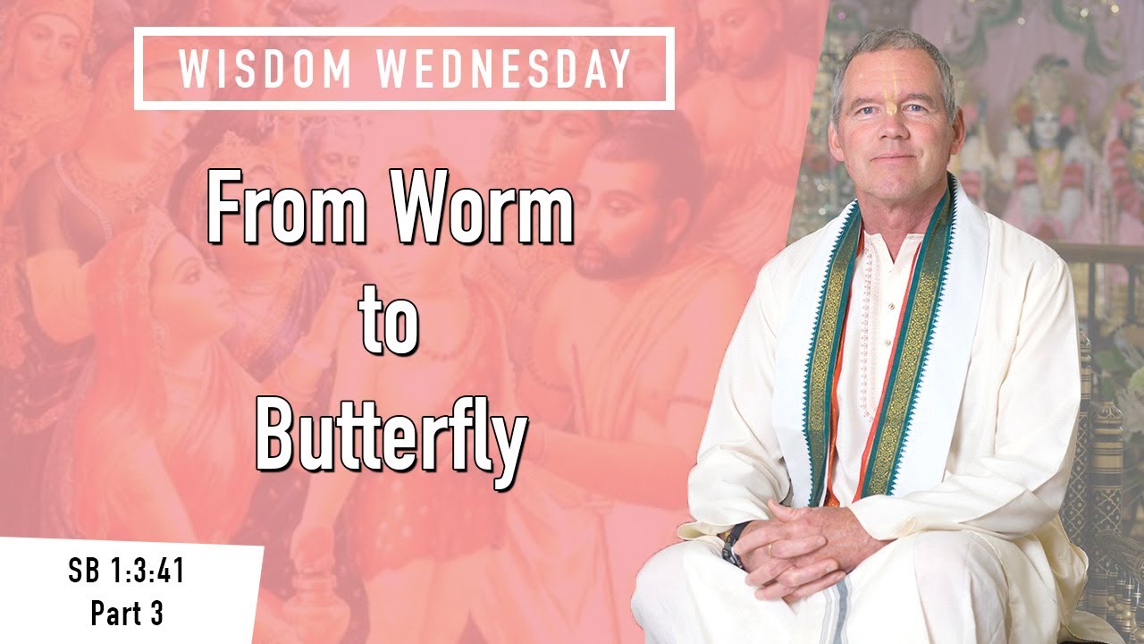 "From Worm to Butterfly" | Wisdom Wednesday, SB 1:3:41 Part 3