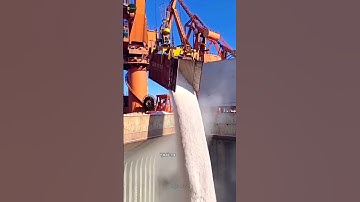 How to transport grains by cargo ship | Grain transport Ship | #shorts #ship #trending