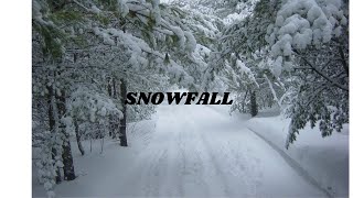 Download Lagu Relaxing Snowfall for 5 minutes-relaxing winter video MP3 Download Lagu Relaxing Snowfall for 5 minutes-relaxing winter video MP3