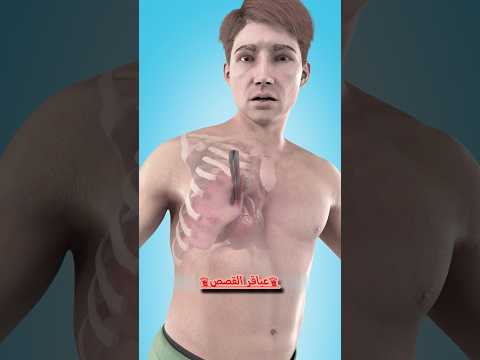 كيف تتصرف اذا تمزقت رئتك