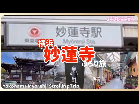 【ぶらり旅】横浜 妙蓮寺駅 池畔商店街 朝から混むお肉屋さん　yokohama vlog　#旅 #商店街 #昭和レトロ