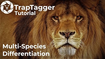 TrapTagger: Multi-Species Differentiation