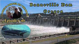Episode 40 Bonneville Dam & Fish Hatchery