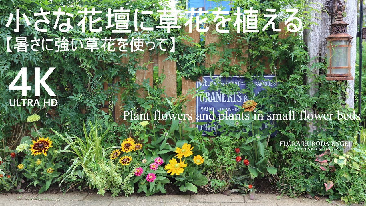 花壇づくり／極狭スペースに草花を植える【夏のガーデニング