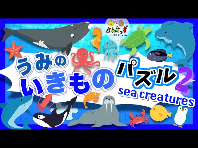 Children's aquarium animation] Challenge yourself with the sea