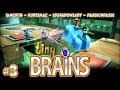 Tiny Brains Co-op with Chiib,