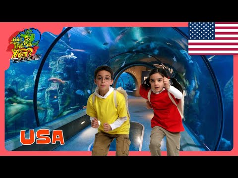 🇺🇸 Hawaiian Submarine Ocean Tour & Aquarium Visits! 🦈🚤 | How to Travel with Kids @travelkidsTVSHow