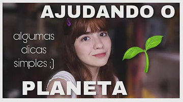 O que podemos fazer para ajudar a Floresta Amazônica?