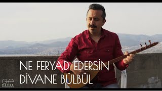 NE FERYAD EDERSİN DİVANE BÜLBÜL-AYHAN ÖZBEK Resimi