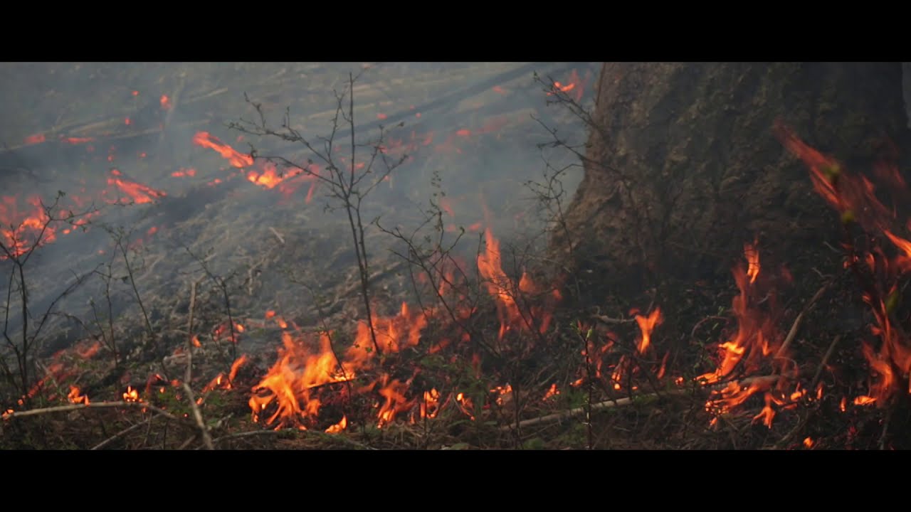 WILDFIRE MITIGATION STRATEGY - SIFCo Type One Treatment - Special Areas Fuel Management