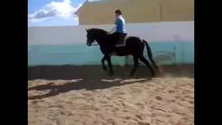 VID 20150206 WA0015