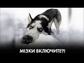 🔴 Весна далеко - саджати будете? / Чи дасть мир турбодипломатія? | РОМАН БЕЗСМЕРТНИЙ | "Час Ч"