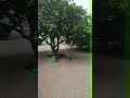 جمال الطبيعة السودانية مدينه القضارف