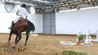 Tatabra Urania - Remate 2012/2012 Auction