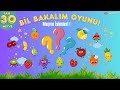 Süper Çocuk Meyve Şampiyonu! 🤩 Kolaydan Zora Bütün Meyveler | Bilgi Yarışması | Çocuk Oyunları