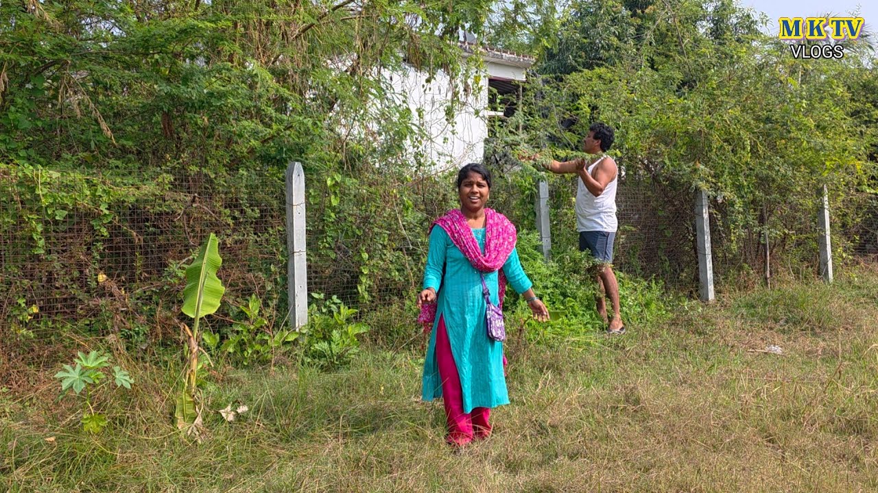 MKTV Vlog || MKTV VLOGS #MKTVVARSHINI #VLOG 840