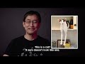 Junji Ito x Weird Cats  | The Liminal Zone, Vol. 2 Available Now | VIZ