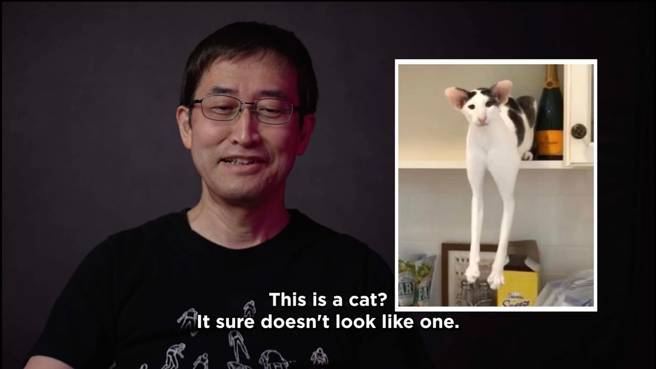 猫2 YouTube