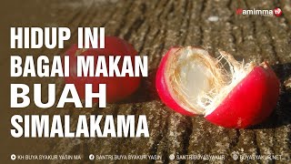 Hidup Ini Bagai Makan Buah Simalakama ❗ Buya Syakur