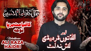 Noha Allah Tu Dar Made Lash Na Lut Ali Raza Haidri Noha 2025